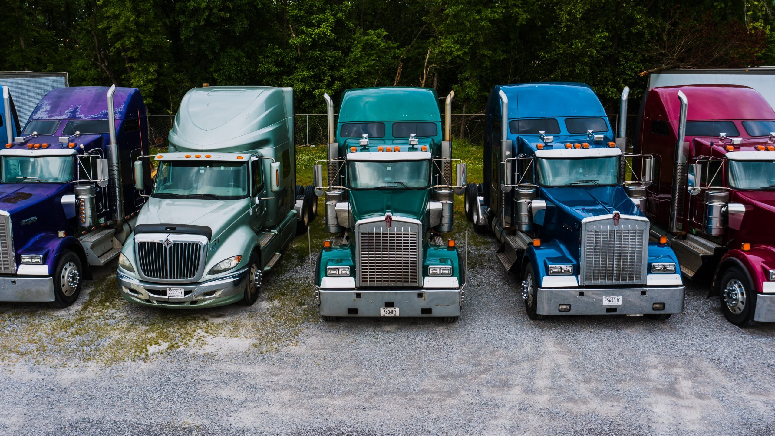 BUTATA diverse fleet of colorful trucks
